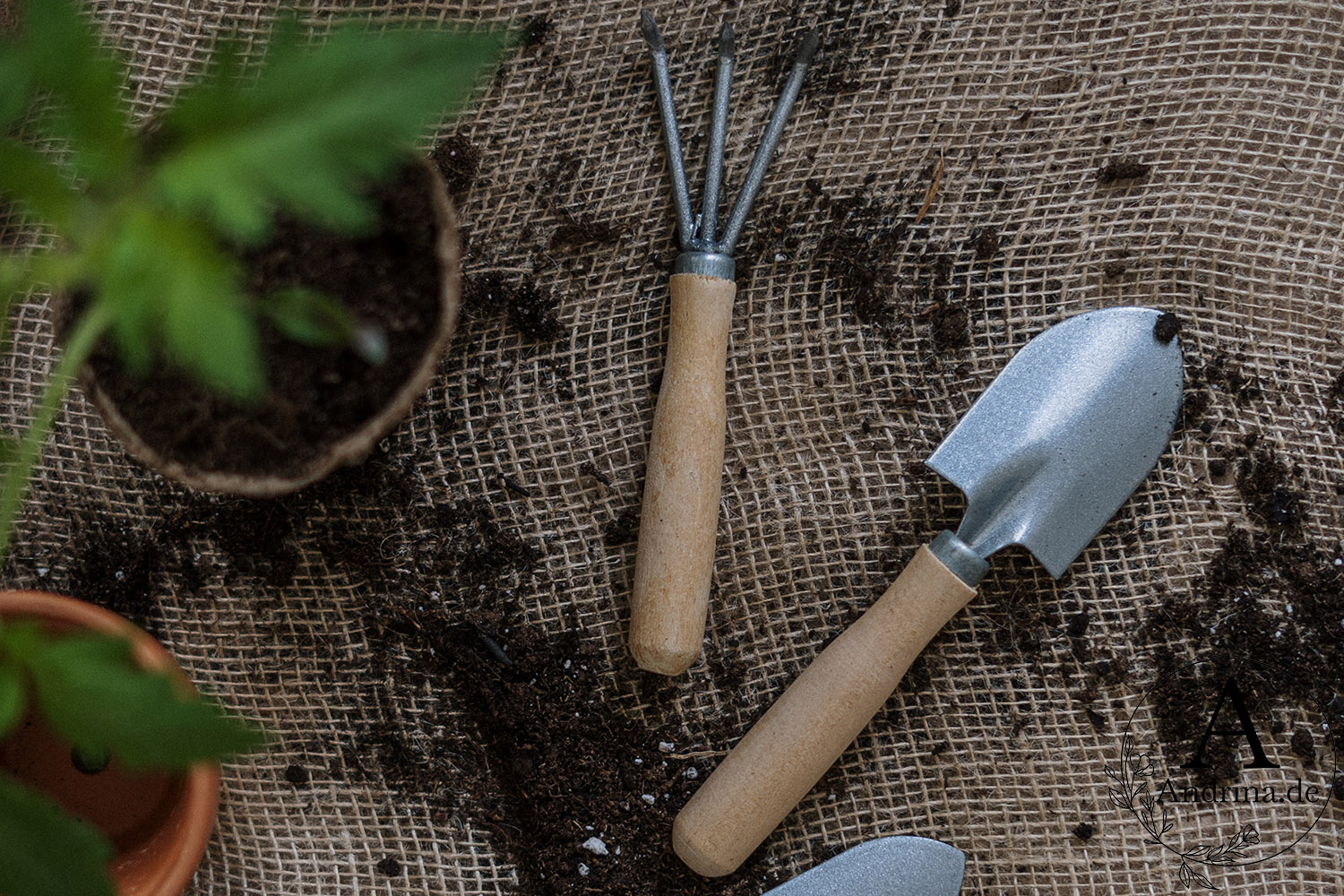 Einsatz von Essig im Garten