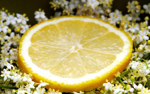 Holunderblütensirup selber machen