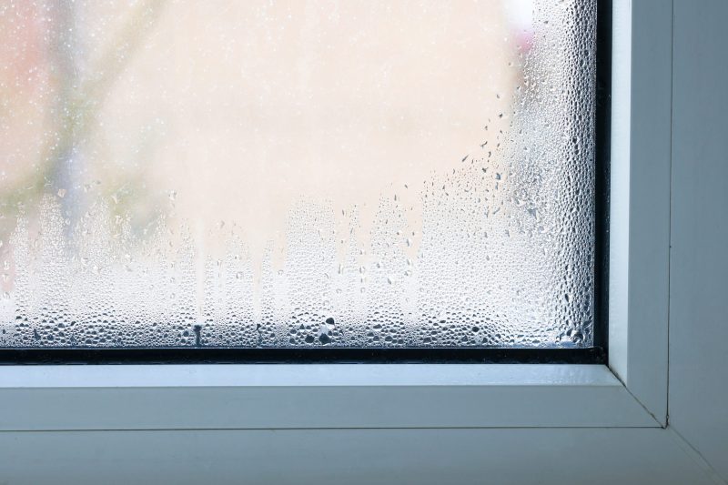 Feuchte Fenster im Winter? So hilft Natron – einfach, clever, effektiv!